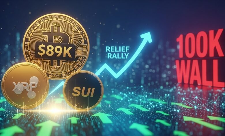 XRP, SUI Lead Crypto