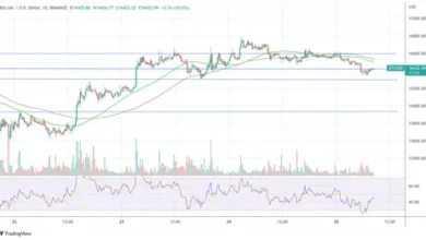 BTC USD Crash Can the Saylor Sigil Save Bitcoin