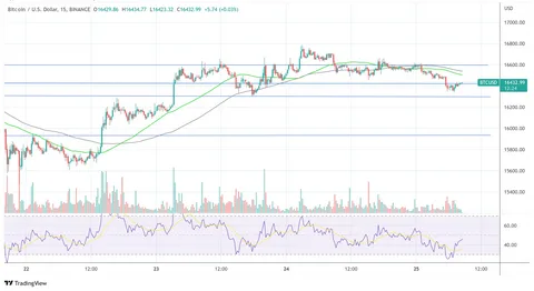 BTC USD Crash Can the Saylor Sigil Save Bitcoin
