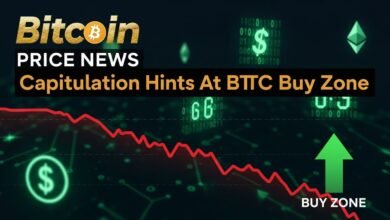 Bitcoin Price News Capitulation Hints At Big BTC Buy Zone