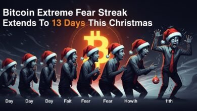 Bitcoin Extreme Fear Streak Extends To 13 Days This Christmas