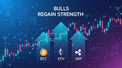Bitcoin Ethereum XRP Price Prediction: Bulls Regain Strength