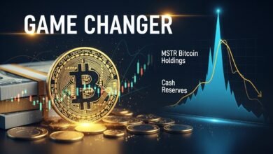 MSTR Bitcoin Purchase And Cash Reserve Game Changer