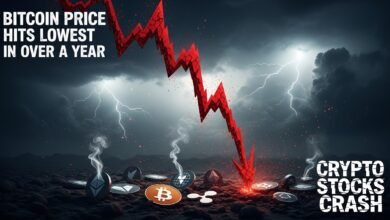 Bitcoin Price Hits Lowest in Over a Year — Crypto Stocks Crash