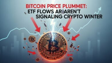 Bitcoin Price Plummet ETF Flows Aren't Signaling Crypto Winter