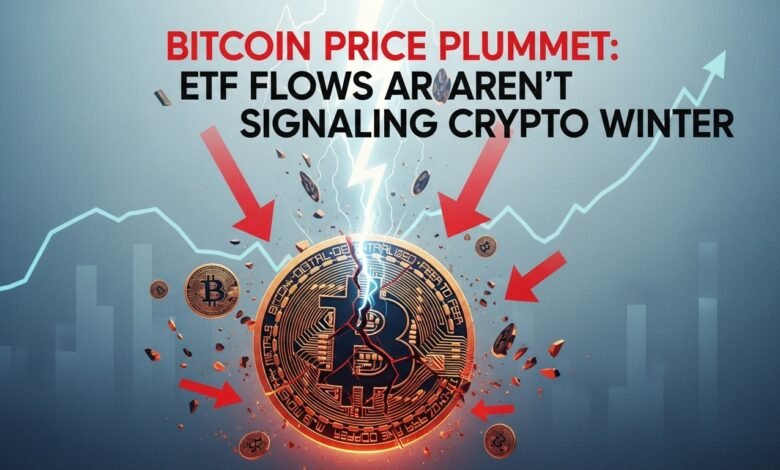 Bitcoin Price Plummet ETF Flows Aren't Signaling Crypto Winter