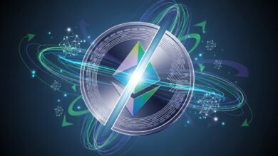 TON Fee Cut & Feeless Crypto