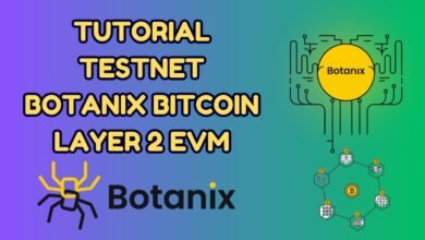 Bitcoin Layer 2 Project Botanix