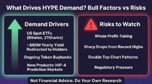 Whales buying Hyperliquid demand drivers like ETFs and buybacks compared with risks such as profit-taking and regulation