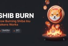 SHIB burn removing Shiba Inu tokens from circulation