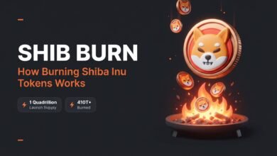SHIB burn removing Shiba Inu tokens from circulation