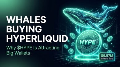 Whales buying Hyperliquid concept showing a glowing whale diving toward a HYPE token coin
