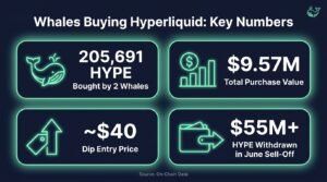 Whales buying Hyperliquid infographic showing 205,691 HYPE bought for $9.57 million near the $40 price level